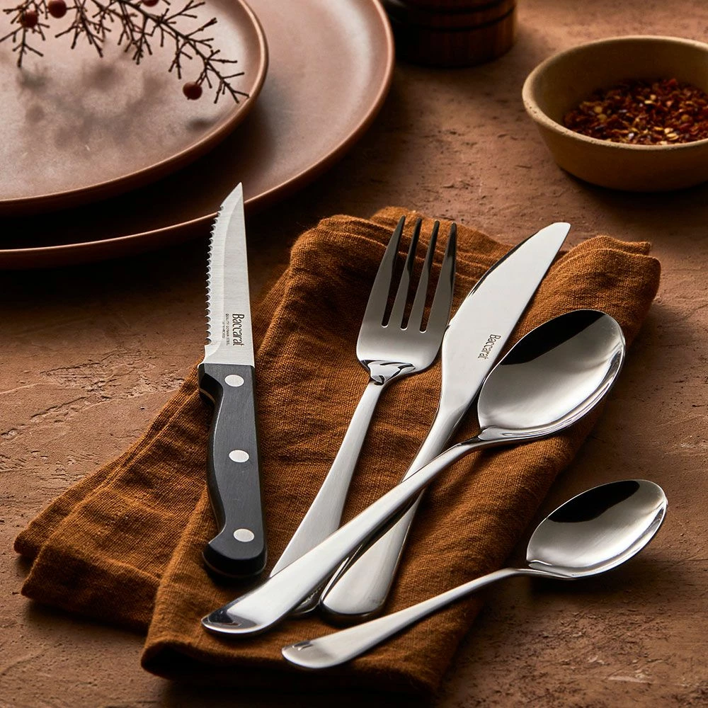 Baccarat Sabre Mainz 40 Piece Stainless Steel Cutlery Set 4 Baccarat Sabre Mainz 40 Piece Stainless Steel Cutlery Set - Image 2